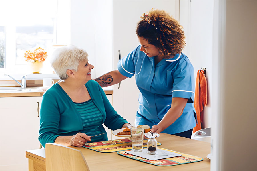 Domestic Services, Making Daily Life Easier